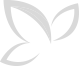 title_shap